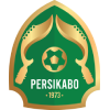 Persikabo 1973 Profil