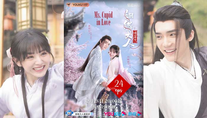 Ms. Cupid In Love (2022) : Drammatico Cinese 24 Episodi, Come Guardare, Data di Uscita, Sinossi