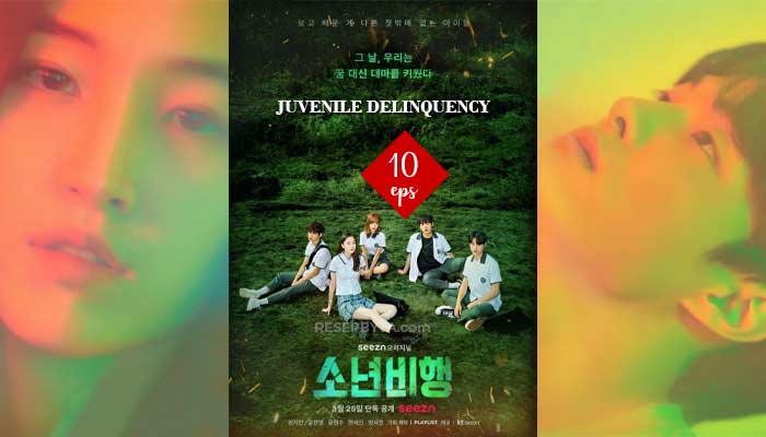 Juvenile Delinquency, Korean Drama Series : How To Watch & Trailers