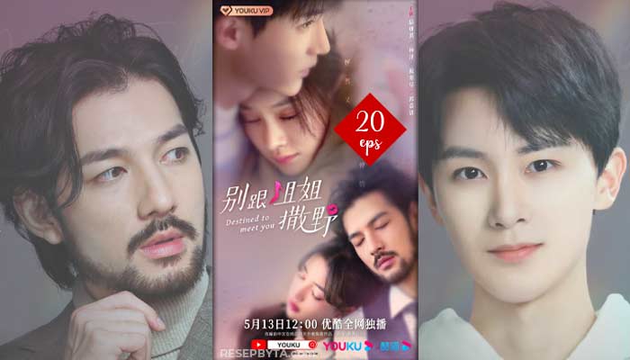 Destined to Meet You (Lovely Sister) (2022) Kinesisk Drama 20 Avsnitt, Var Att Se och Videotrailer