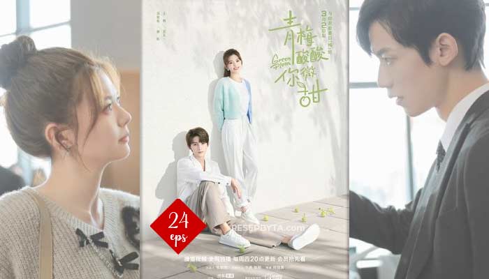 Green Plum (2023), Chinesisches Drama 24 Episoden : Wie man Zuschaut & Synopse